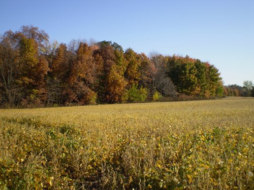 Property photo 8 - 202+/- Acres Offered in 7 Tracts